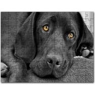 Cakapuzzle Kara Labrador Üzgün Köpek Mdf 255 Parça Puzzle