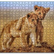 Cakapuzzle Kardeşlik Başkadır Yavru Aslanlar Mdf 120 Parça Puzzle
