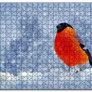 Cakapuzzle Karlar İçinde Şakrakkuşu Mdf 500 Parça Puzzle