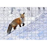 Cakapuzzle Karlar Üzerinde Kutup Tilkisi Mdf 120 Parça Puzzle