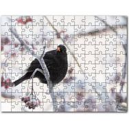 Cakapuzzle Karlı Dalların Üzerindeki Karatavuk Mdf 1000 Parça Puzzle