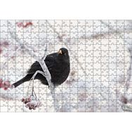 Cakapuzzle Karlı Dalların Üzerindeki Karatavuk Mdf 255 Parça Puzzle