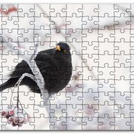 Cakapuzzle Karlı Dalların Üzerindeki Karatavuk Mdf 500 Parça Puzzle