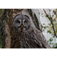 Cakapuzzle Karlı Ormanda Ağacın Önündeki Baykuş 120 Parça Ahşap Puzzle