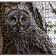Cakapuzzle Karlı Ormanda Ağacın Önündeki Baykuş Mdf 1000 Parça Puzzle