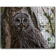 Cakapuzzle Karlı Ormanda Ağacın Önündeki Baykuş Mdf 120 Parça Puzzle