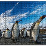 Cakapuzzle Karlı Topraklar ve Penguenler Mdf 1000 Parça Puzzle