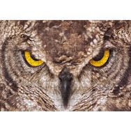Cakapuzzle Kartal Baykuş 255 Parça Puzzle