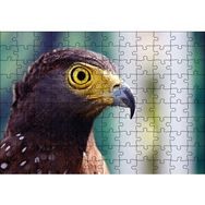 Cakapuzzle Kartal Yakın Plan Mdf 120 Parça Puzzle