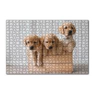 Cakapuzzle Kasada Golden Yavruları 255 Parça Puzzle