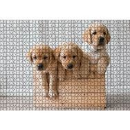 Cakapuzzle Kasada Golden Yavruları Mdf 1000 Parça Puzzle