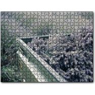 Cakapuzzle Kasada Lavantalar 255 Parça Puzzle