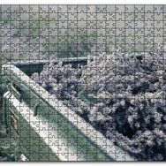 Cakapuzzle Kasada Lavantalar Mdf 120 Parça Puzzle