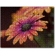 Cakapuzzle Kasımpatı ve Yağmur Damlaları Yakın Plan Mdf 500 Parça Puzzle