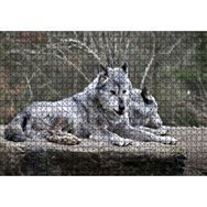 Cakapuzzle Kayalık Üzerinde Dinlenen Gri Kurt Çifti Mdf 1000 Parça Puzzle