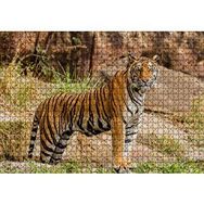 Cakapuzzle Kayalıklar ve Bengal Kaplanı 120 Parça Ahşap Puzzle