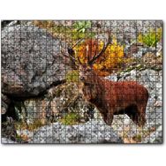 Cakapuzzle Kayalıklar ve Boynuzlu Kahverengi Geyik 255 Parça Puzzle