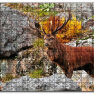 Cakapuzzle Kayalıklar ve Boynuzlu Kahverengi Geyik Mdf 500 Parça Puzzle