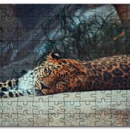 Cakapuzzle Kayanın Üzerinde Dinlenen Uykulu Jaguar Mdf 120 Parça Puzzle