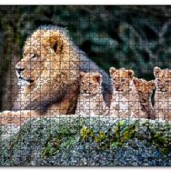 Cakapuzzle Kayanın Üzerinde Erkek Aslan Sevimli Yavruları Mdf 120 Parça Puzzle