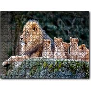 Cakapuzzle Kayanın Üzerinde Erkek Aslan Sevimli Yavruları Mdf 500 Parça Puzzle