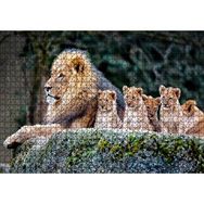 Cakapuzzle Kayanın Üzerinde Erkek Aslan ve Sevimli Yavruları 120 Parça Ahşap Puzzle