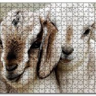 Cakapuzzle Keçi Yvruları Görseli Mdf 120 Parça Puzzle