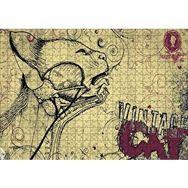 Cakapuzzle Kedi Detaylı Kesit Çizim Mdf 500 Parça Puzzle