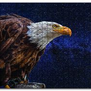 Cakapuzzle Kel Kartal Ahşap 255 Parça Puzzle