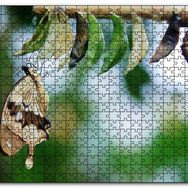 Cakapuzzle Kelebek Kozası ve Renkli Kelebek Görseli Mdf 120 Parça Puzzle