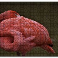 Cakapuzzle Kendine Sarılan Flamingo Mdf 255 Parça Puzzle