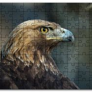 Cakapuzzle Keskin Bakışlı Kartal Yakın Profil Mdf 120 Parça Puzzle