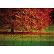 Cakapuzzle Kırmızı Ağaç Sonbahar 120 Parça Puzzle