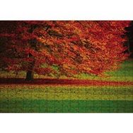 Cakapuzzle Kırmızı Ağaç Sonbahar 255 Parça Ahşap Puzzle