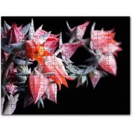 Cakapuzzle Kırmızı Bardak Çiçekleri Karanlık Arkaplan Mdf 255 Parça Puzzle