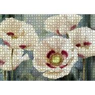 Cakapuzzle Kırmızı Beyaz Kasımpatı Çiçekleri 1000 Parça Ahşap Puzzle