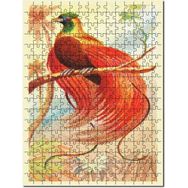 Cakapuzzle Kırmızı Cennet Kuşu Görsel Mdf 1000 Parça Puzzle