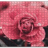 Cakapuzzle Kırmızı Çiçek ve Damlalar Yakın Plan Mdf 120 Parça Puzzle