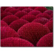 Cakapuzzle Kırmızı Dekoratif Küresel Objeler Mdf 1000 Parça Puzzle