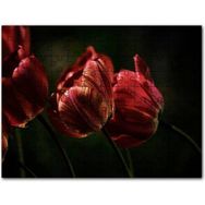 Cakapuzzle Kırmızı Gelincikler Karanlık Arkaplan Mdf 1000 Parça Puzzle