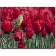 Cakapuzzle Kırmızı Gelincikler Üzerindeki Sarı Kuş 255 Parça Puzzle