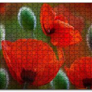 Cakapuzzle Kırmızı Gelincikler Yakın Çekim Mdf 1000 Parça Puzzle