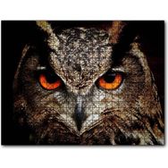 Cakapuzzle Kırmızı Gözlü Baykuş Yakın Çekim 500 Parça Puzzle