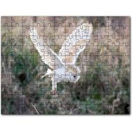 Cakapuzzle Kırmızı Jaguar Xk 120 Mdf 1000 Parça Puzzle