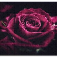 Cakapuzzle Kırmızı Kadife Gül Yakın Çekim Karanlık Mdf 120 Parça Puzzle