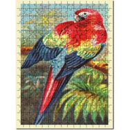 Cakapuzzle Kırmızı ve Mavi Amerika Papağanı Mdf 255 Parça Puzzle