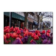 Cakapuzzle Kırmızı ve Mor Laleler 120 Parça Puzzle