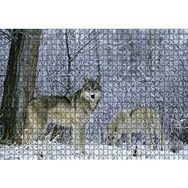 Cakapuzzle Kış Ormandaki Kurtlar Görseli Ahşap 1000 Parça Puzzle