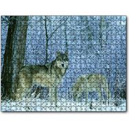 Cakapuzzle Kış Ormandaki Kurtlar Görseli Ahşap 500 Parça Puzzle