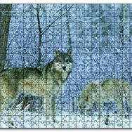 Cakapuzzle Kış Ormandaki Kurtlar Görseli Mdf 120 Parça Puzzle